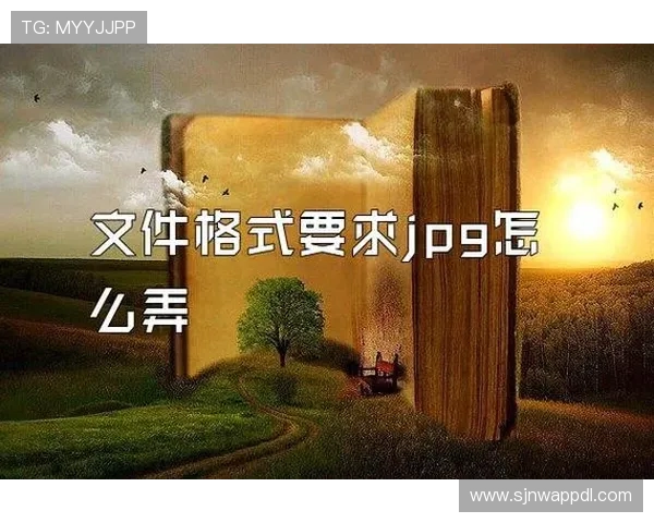 PG娱乐数字站官网最新入口,全面介绍平台特色与安全保障措施